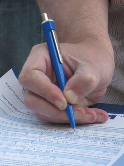 Volksentscheid ins Grundgesetz